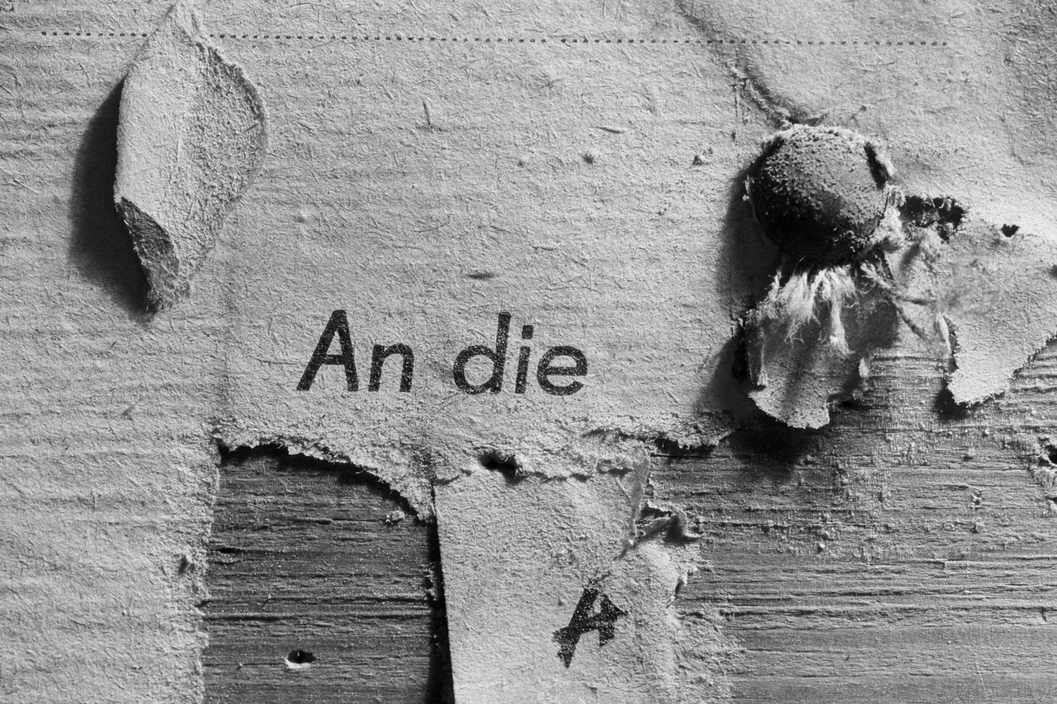 1992 Prenzlauer Allee 16 – Fotostrecke, Dokumentarfotografie von Andreas Muhs, Berlin 1990